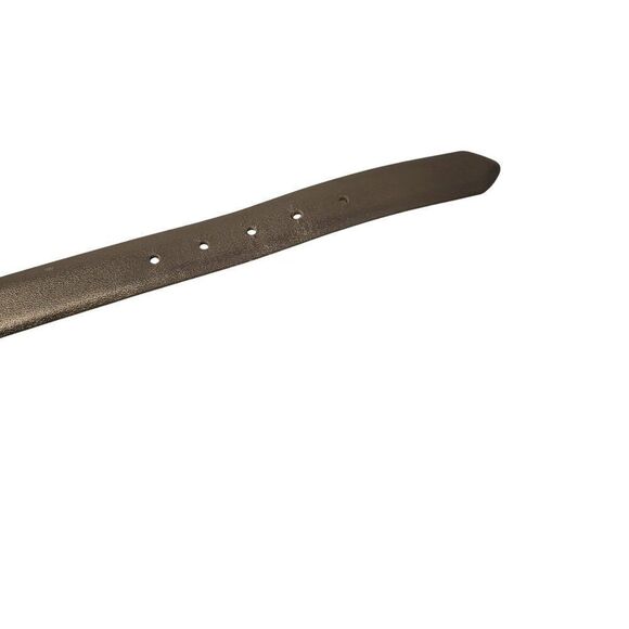 Vintage Lejon Metallic Bronze Leather Belt L Made In USA Cincher‎ Glam Disco main image 7